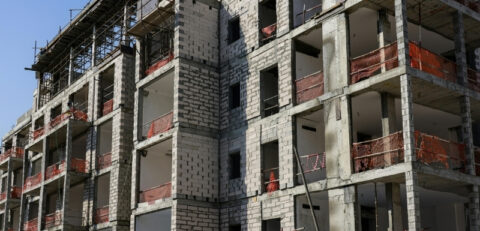 Untitled design (22)